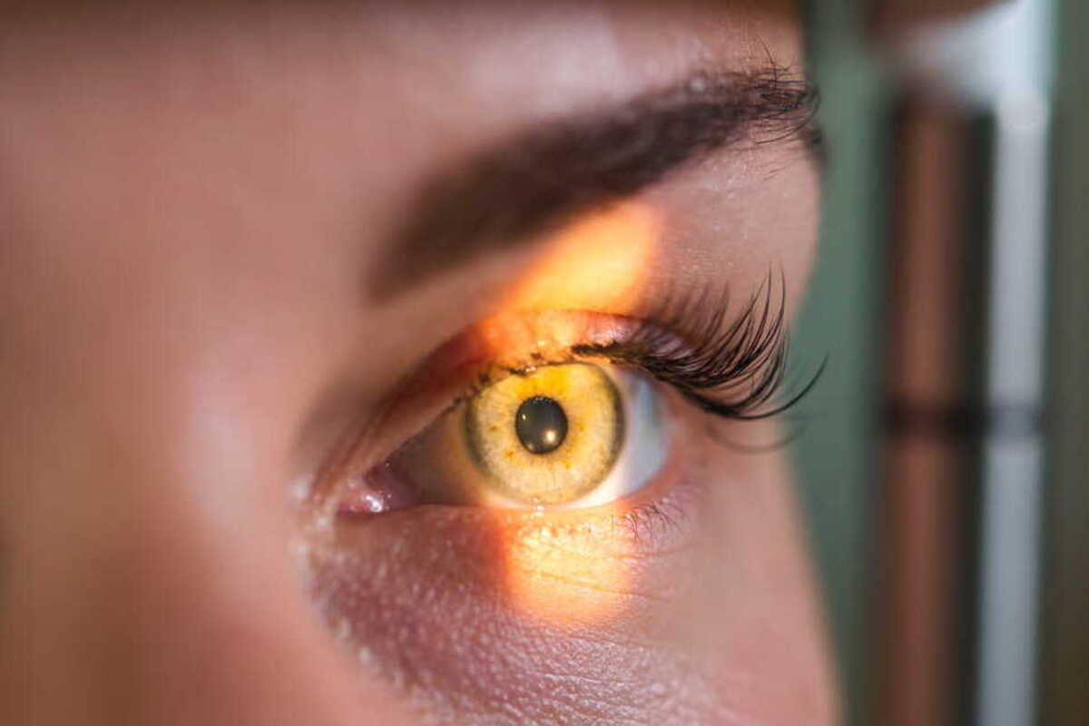 Учёные СПбГЭТУ «ЛЭТИ» разработали методику определения сахарного диабета по сетчатке глаза