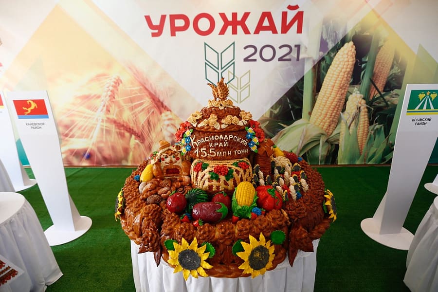 Сельхозпроизводители Краснодарского края собрали рекордный урожай
