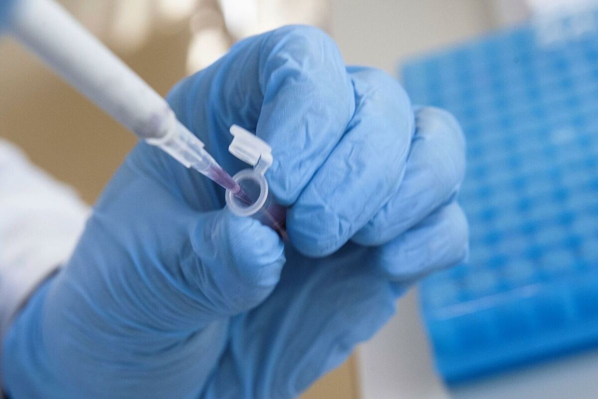 Франция может стать страной распространения нового штамма коронавирусной инфекции