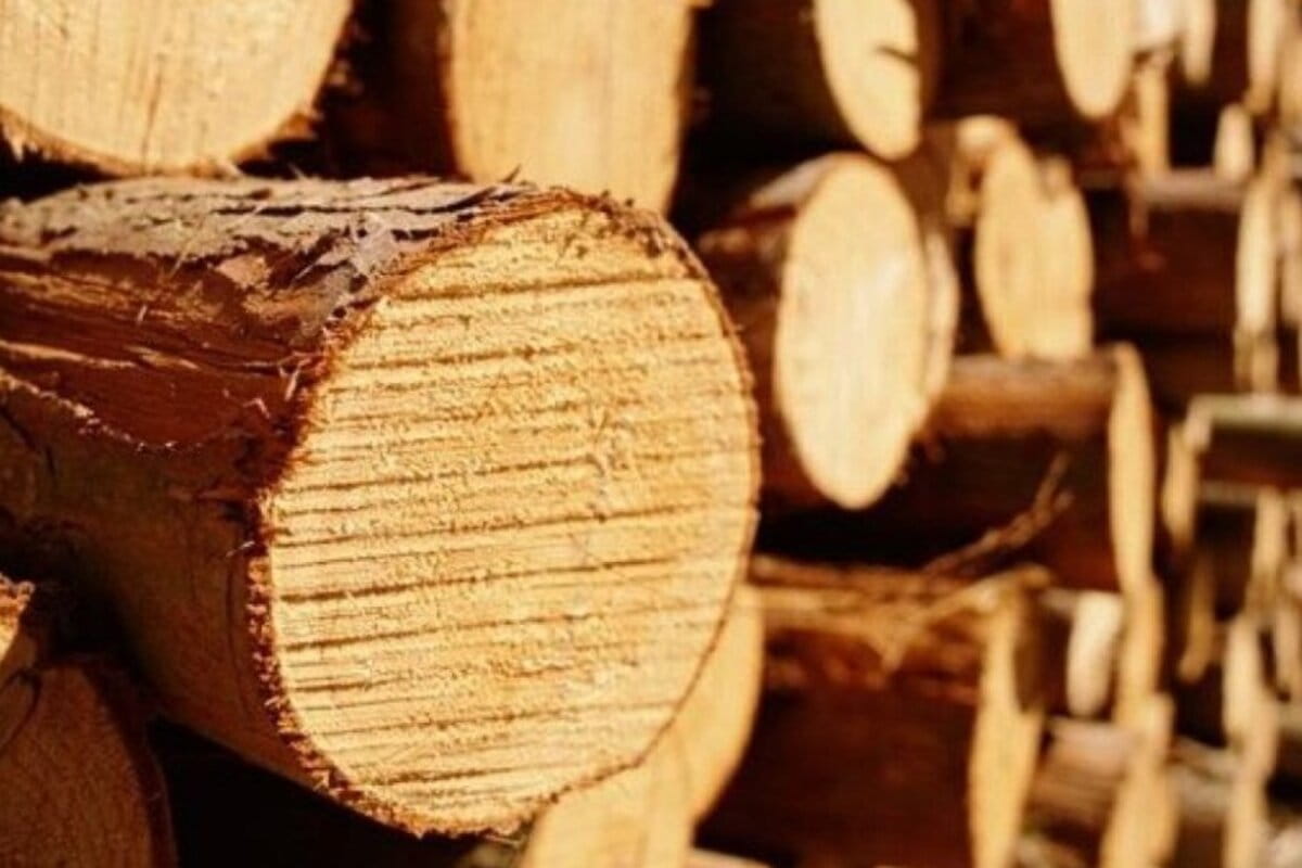 На Украине резко подскочила цена на древесину