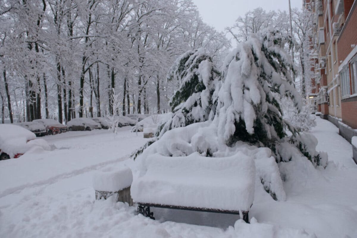 В Краснодаре продолжается борьба со снегом
