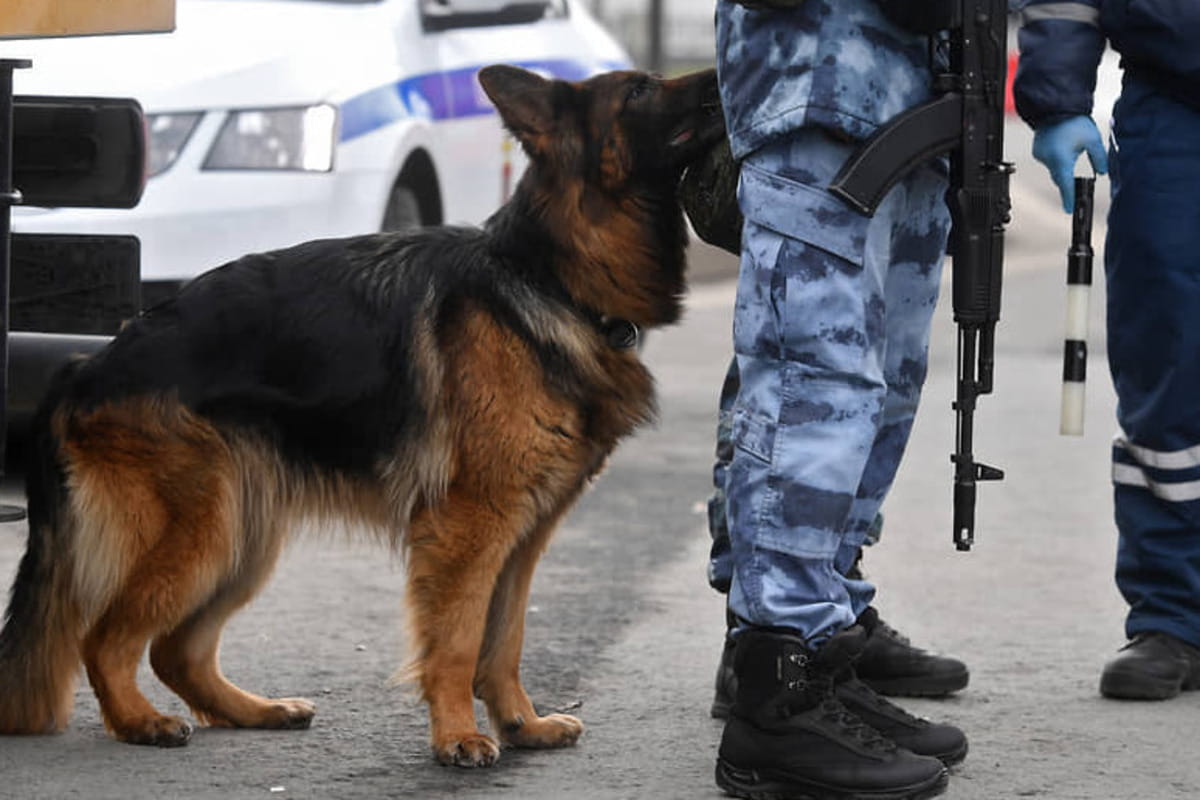 В Краснодарском крае до 18 ноября 2022 года продлен «желтый» уровень террористической опасности