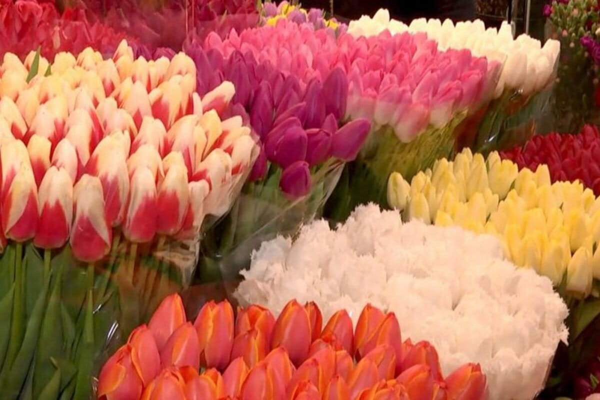 Мужчин России предупредили об увеличении цены на живые цветы