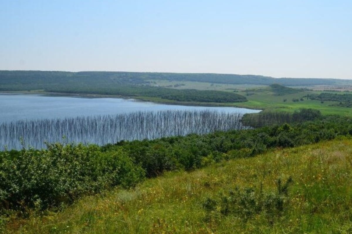 На Кубани создали новую особо охраняемую территорию «Успенские соленые озера»