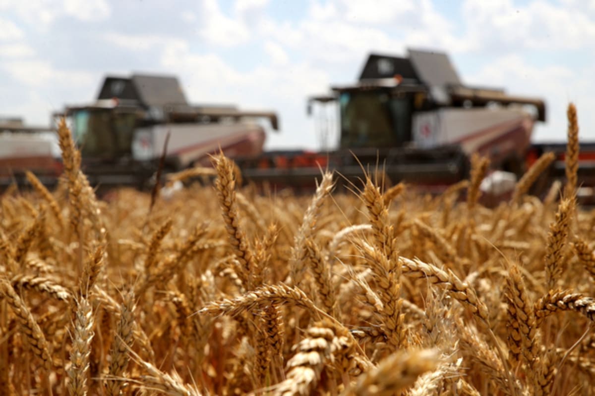 Власти Краснодарского края выступают с инициативой кредитования фермеров под залог собранного урожая