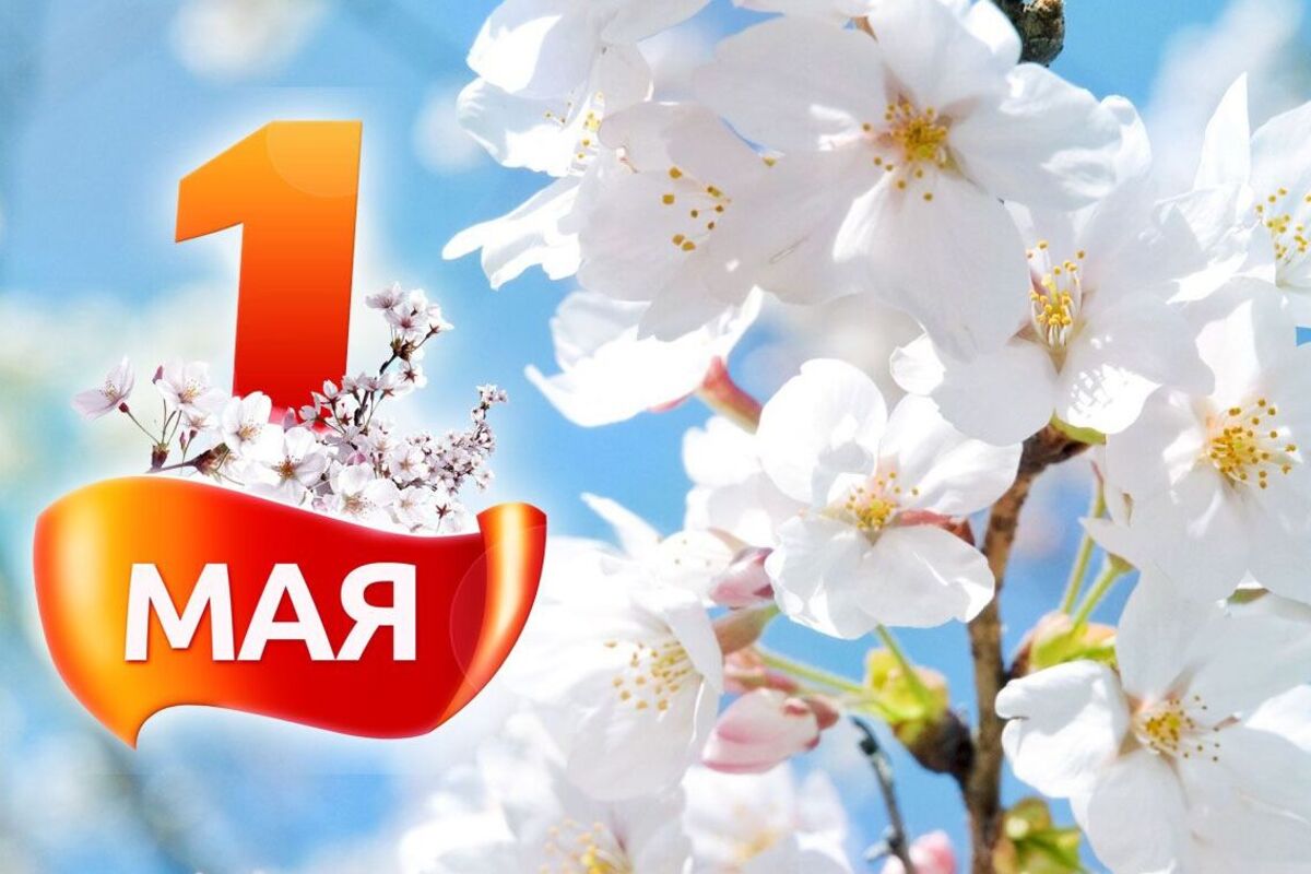 Прогноз погоды по Краснодарскому краю на 1 мая 2023 года
