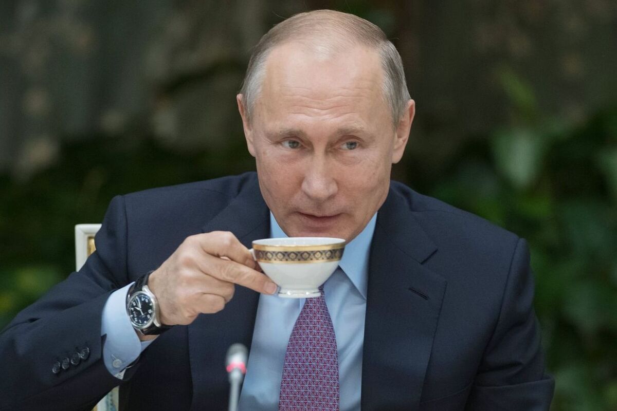 Иван-чай в рекламе не нуждается: раскрыт секрет богатырского здоровья и долголетия русичей