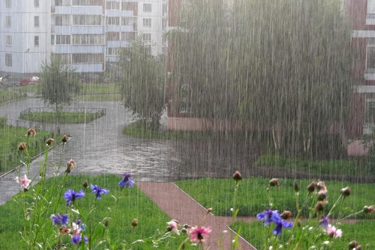 Прогноз погоды по Краснодарскому краю на 10 июля 2023 года