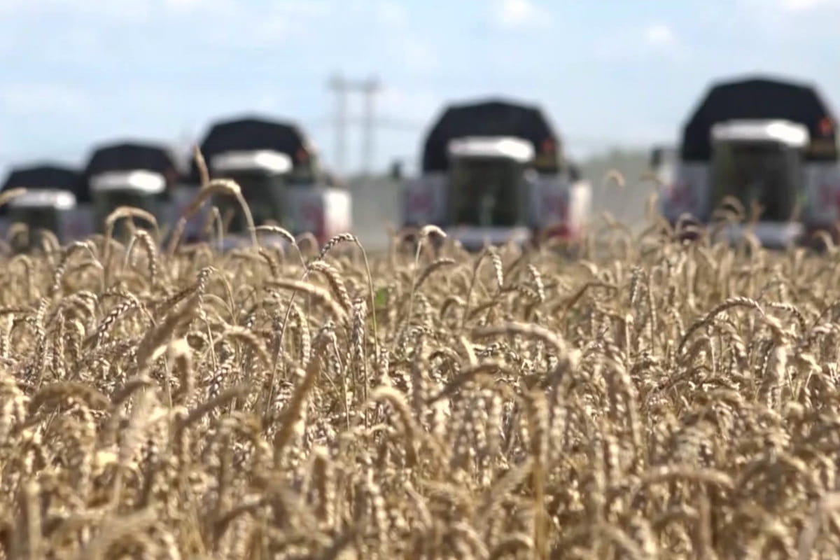 Россия официально уведомила Турцию, Украину и Секретариат ООН о выходе из зерновой сделки