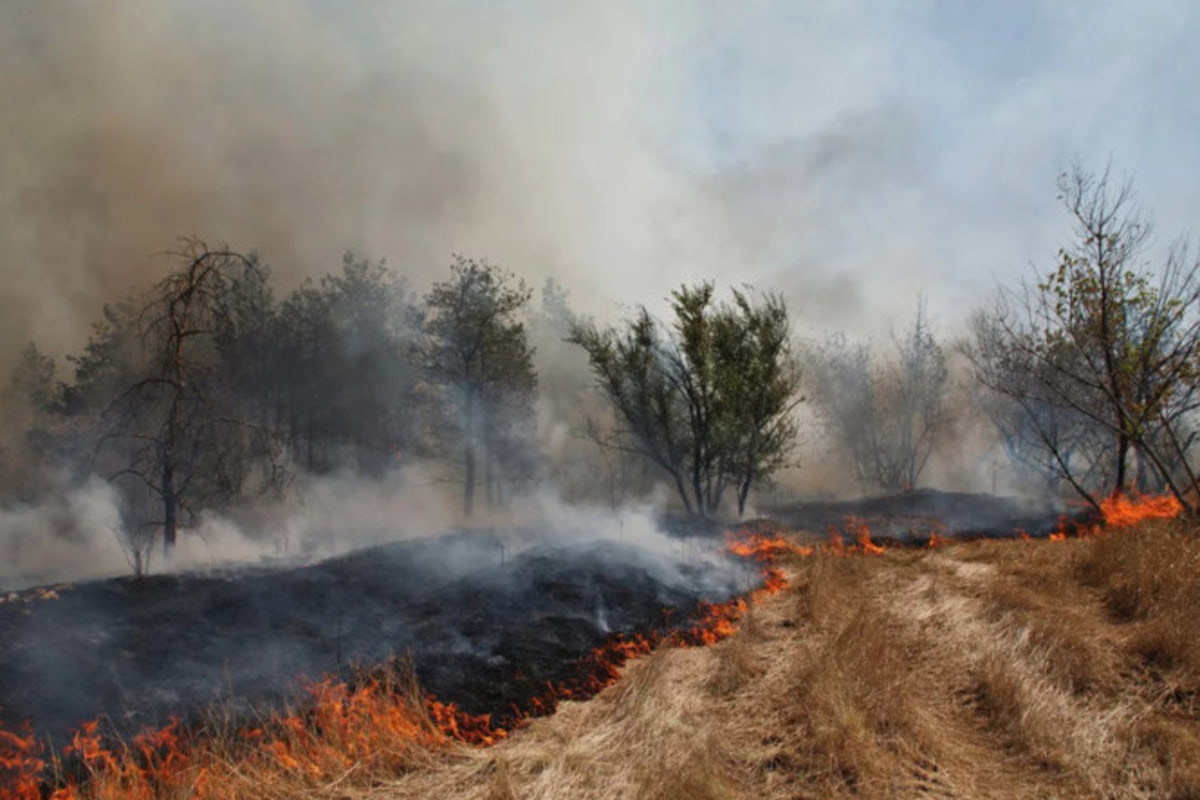 В Геленджике бушует сильный природный пожар на площади 30 гектаров