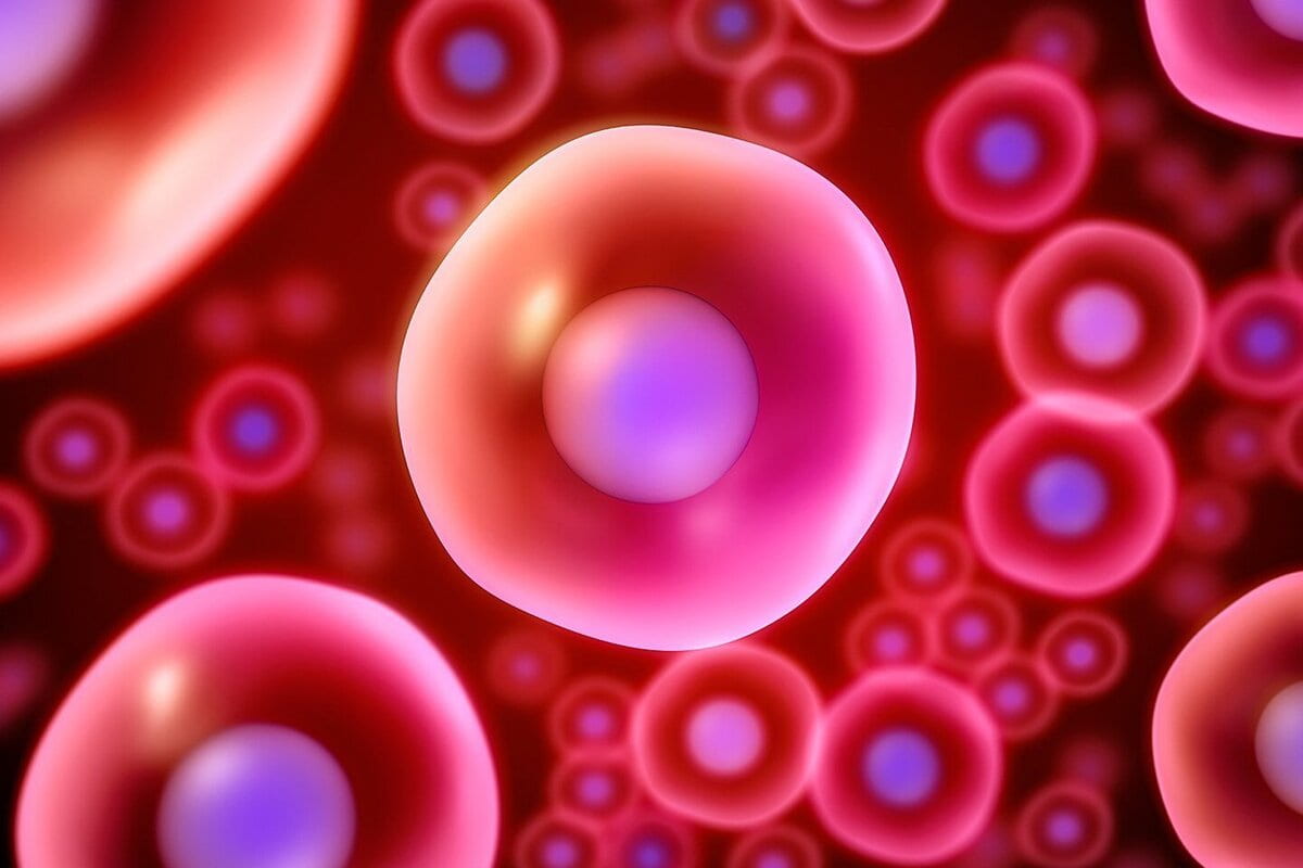 Ученые посчитали из скольких клеток состоит организм человека