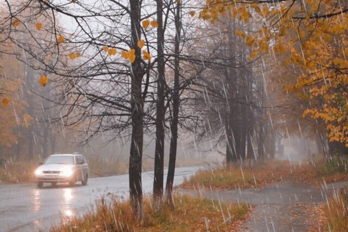 Прогноз погоды по Краснодарскому краю на 20 ноября 2023 года