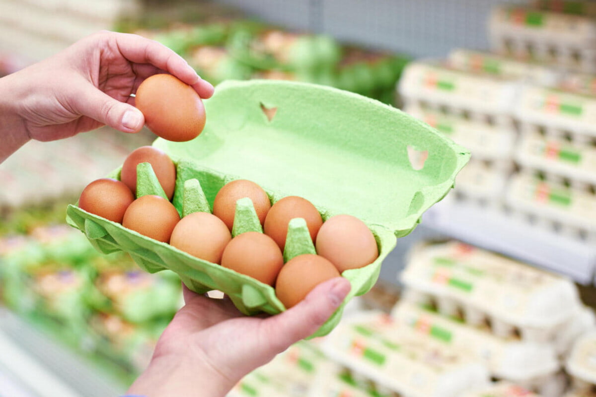 «На вес золота»: цены на куриные яйца в России бьют рекорды