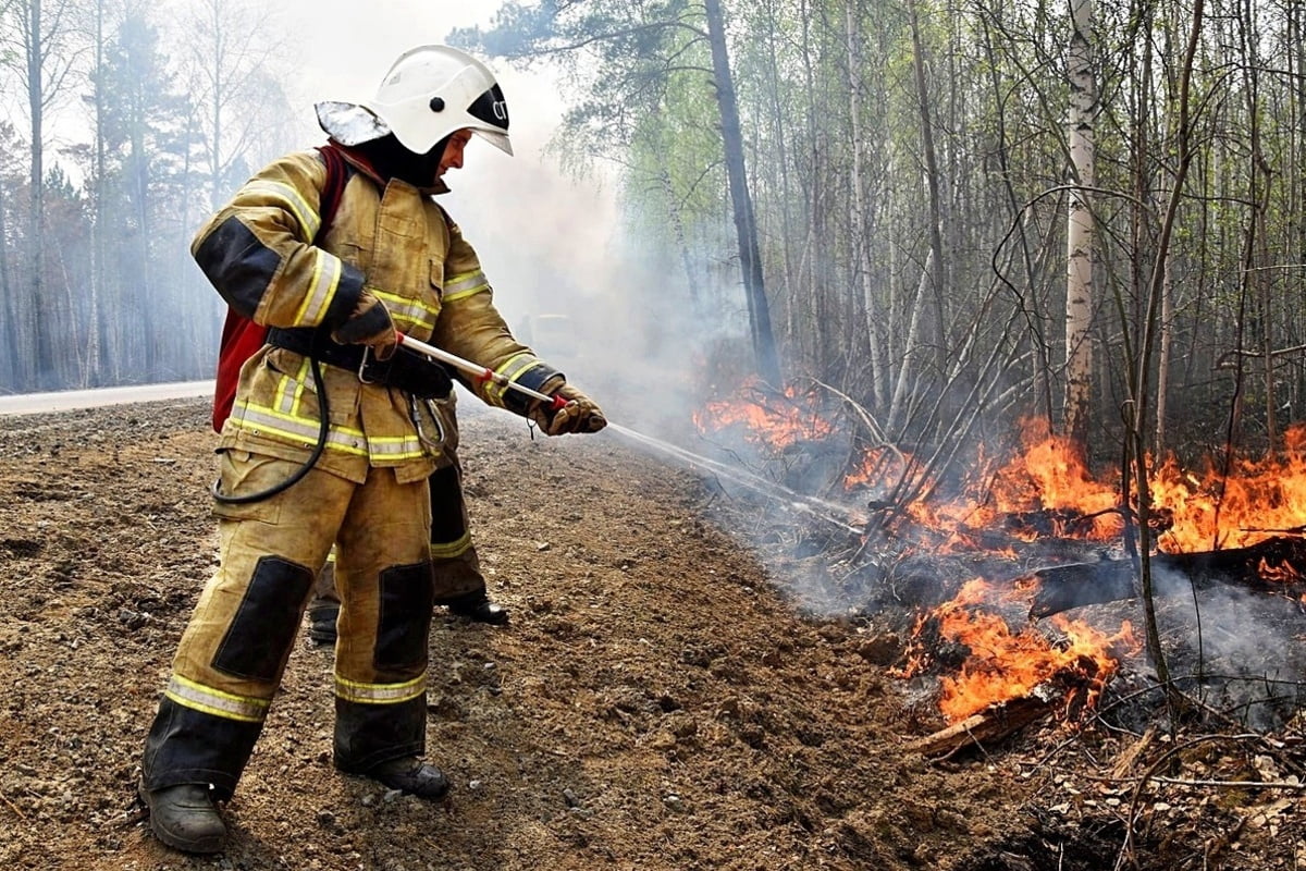 На территориях лесного фонда Краснодарского края введен пожароопасный сезон