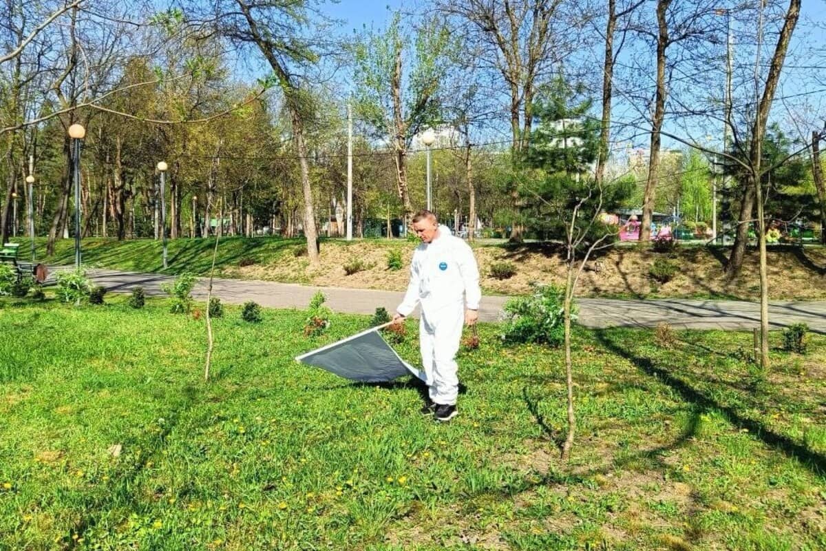 15 апреля 2024 года в Краснодаре проведут обработку парков и скверов от клещей