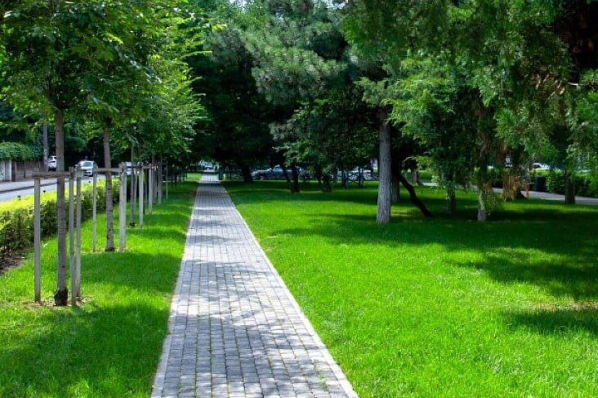 Жители Краснодара выбрали территории для благоустройства в 2025 году