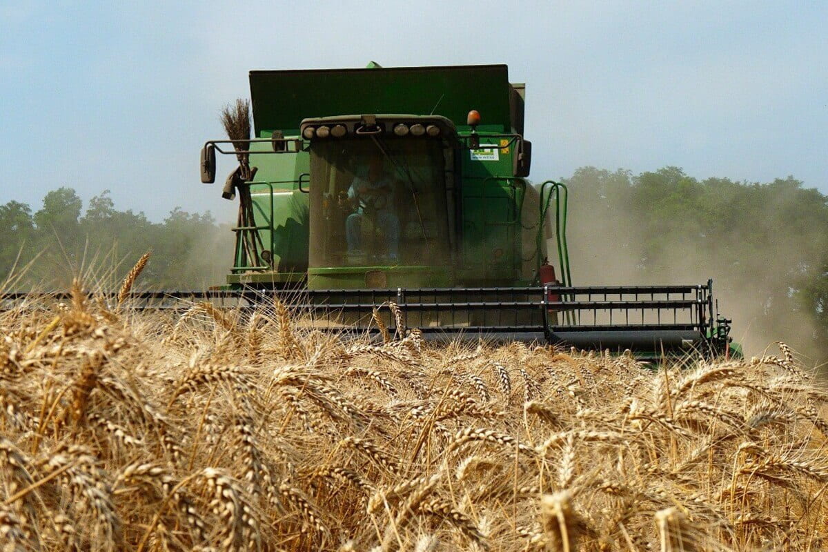 Аграрии Краснодарского края собрали с полей первый миллион тонн зерновых культур