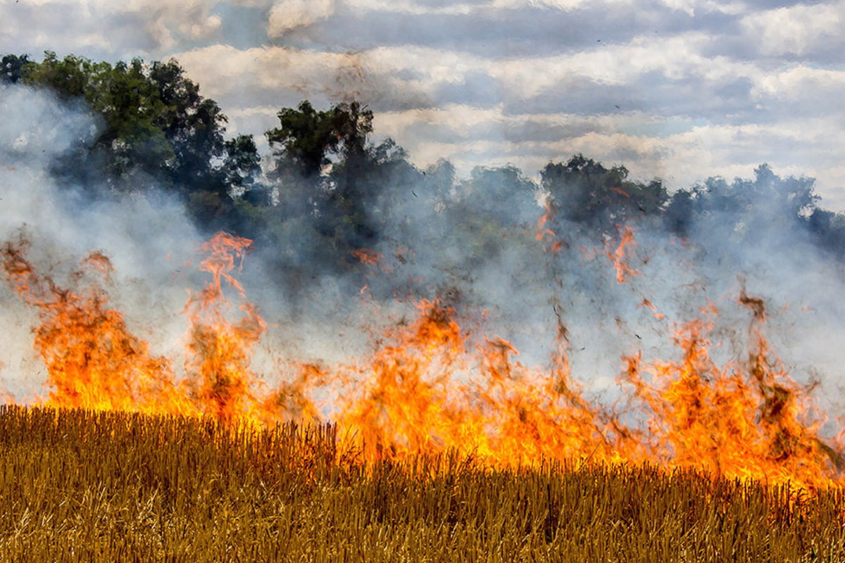 По Краснодарскому краю объявлено штормовое предупреждение о чрезвычайной пожароопасности