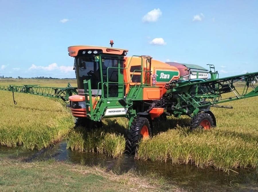 На Кубани приступили к сбору урожая риса