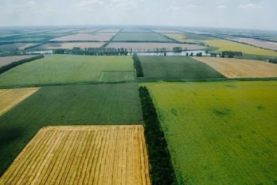 Предпринимателям Краснодарского края предоставили возможность арендовать землю по льготным  ставкам