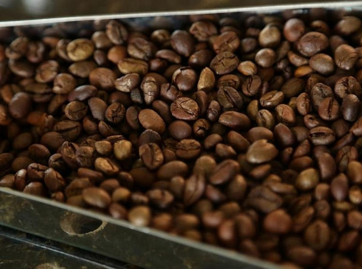 Кофейная фабрика «Нестле Кубань» объявила о модернизации производства