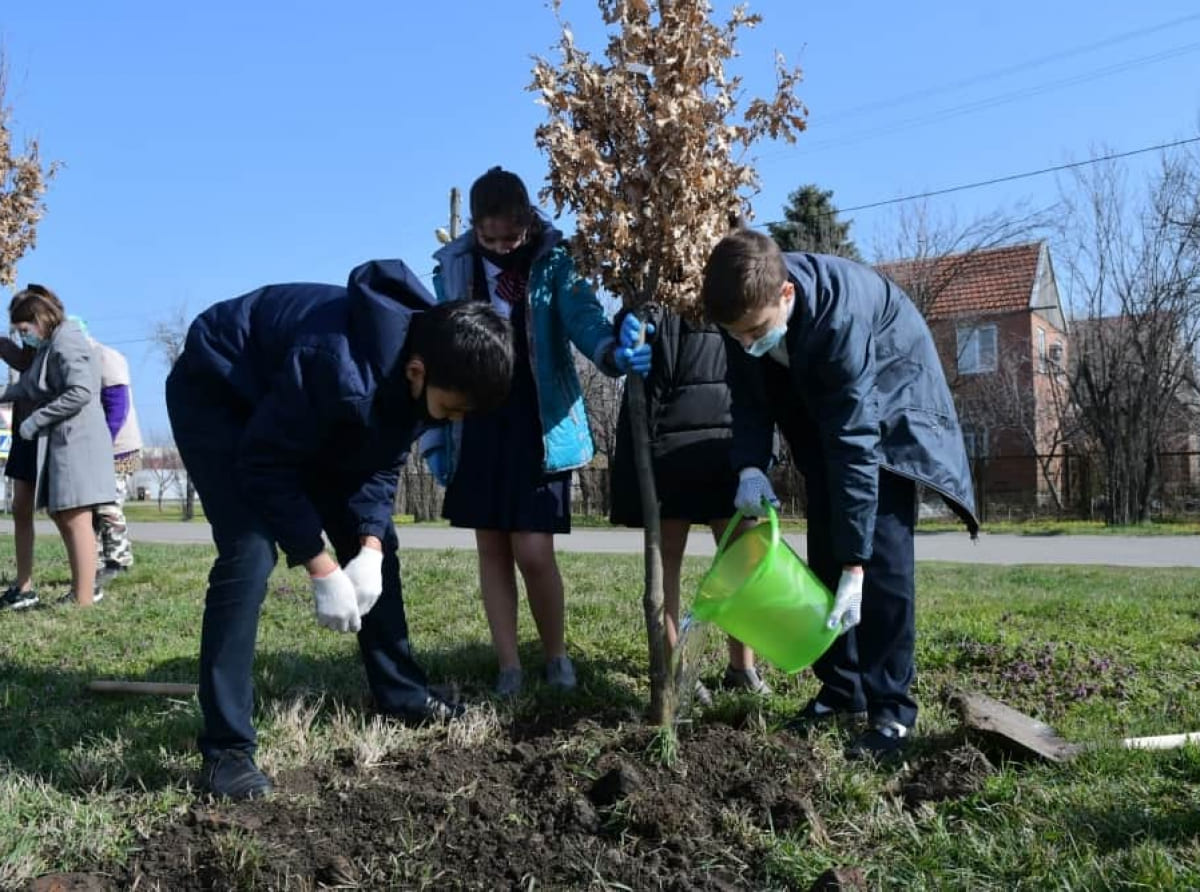 В краевой столице дан старт экологической акции «Краснодар — 10 тысяч деревьев»