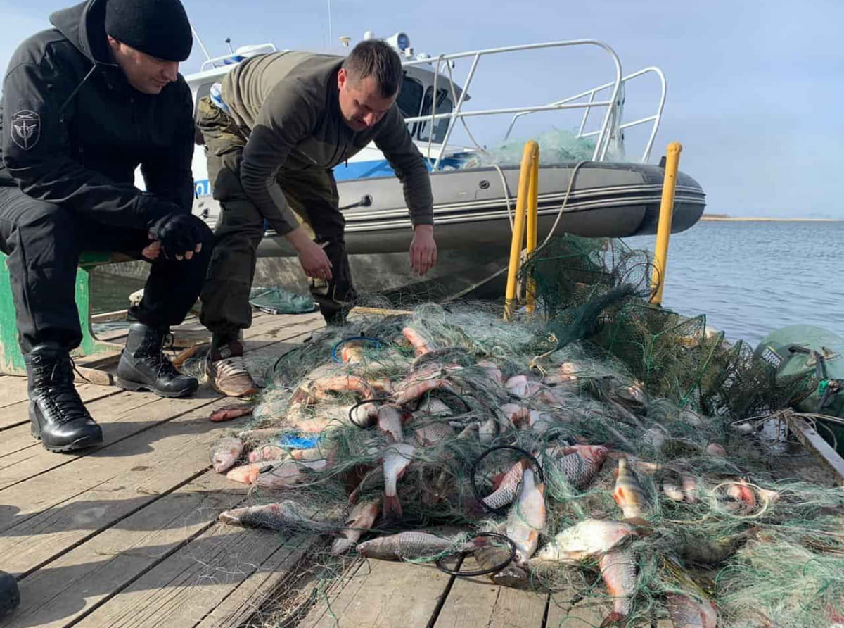 В Щербиновском районе браконьер пойдет под суд за незаконный вылов рыбы