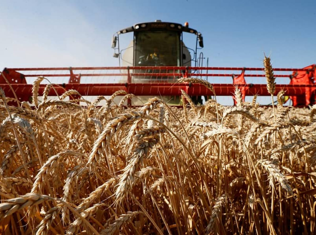Аграрии Краснодарского края собрали первые 1,5 млн тонн зерна